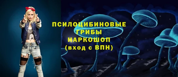 PSILOCYBIN Аркадак