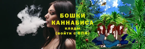 амф Арсеньев