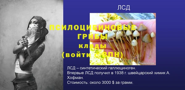 PSILOCYBIN Аркадак