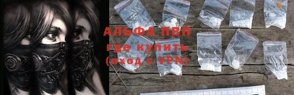 PSILOCYBIN Аркадак