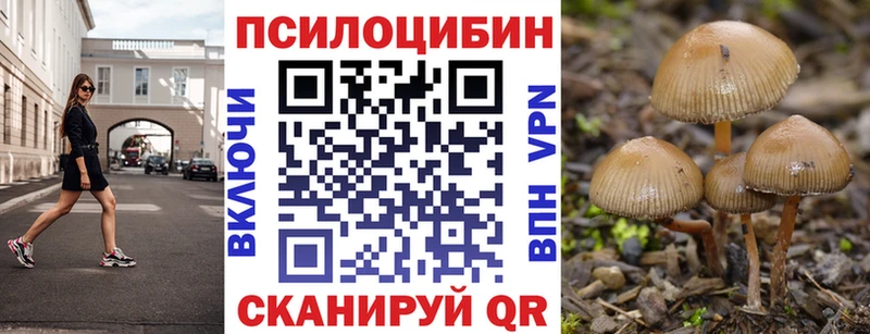 Псилоцибиновые грибы Psilocybine cubensis  Губаха 